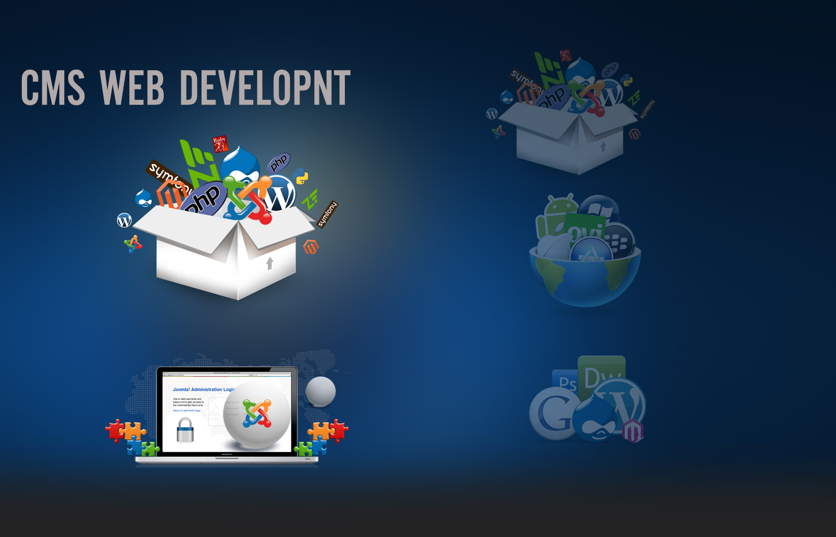  cms web development hyderabad